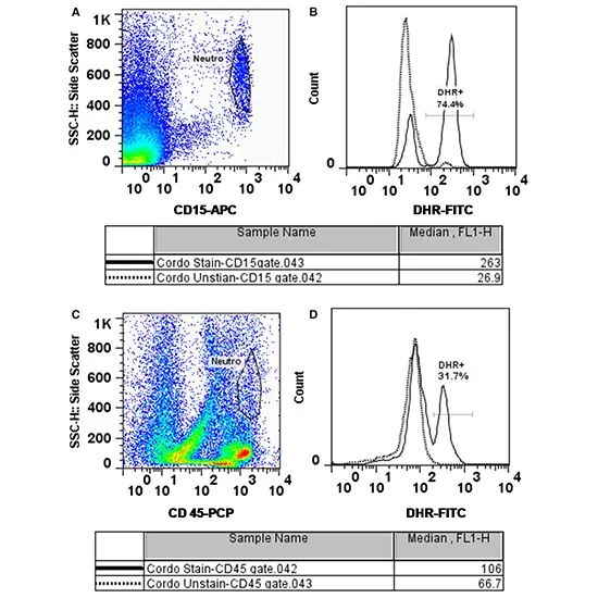 DHR Test for CGD (Neutrophil Oxidative Burst Assay)